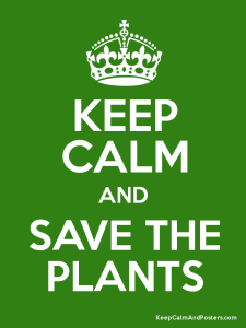 Salbar las plantas!