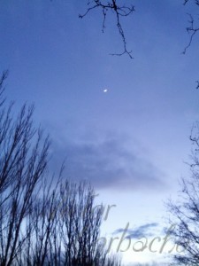 Luna sobre Zaragoza - Febrero 2014