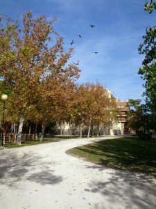 Otoño en Zaragoza - Parque del Respeto